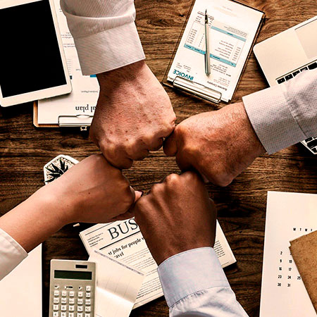 Neruc Marketing Baja California Sur - Agencia de Marketing Digital en Baja California Sur